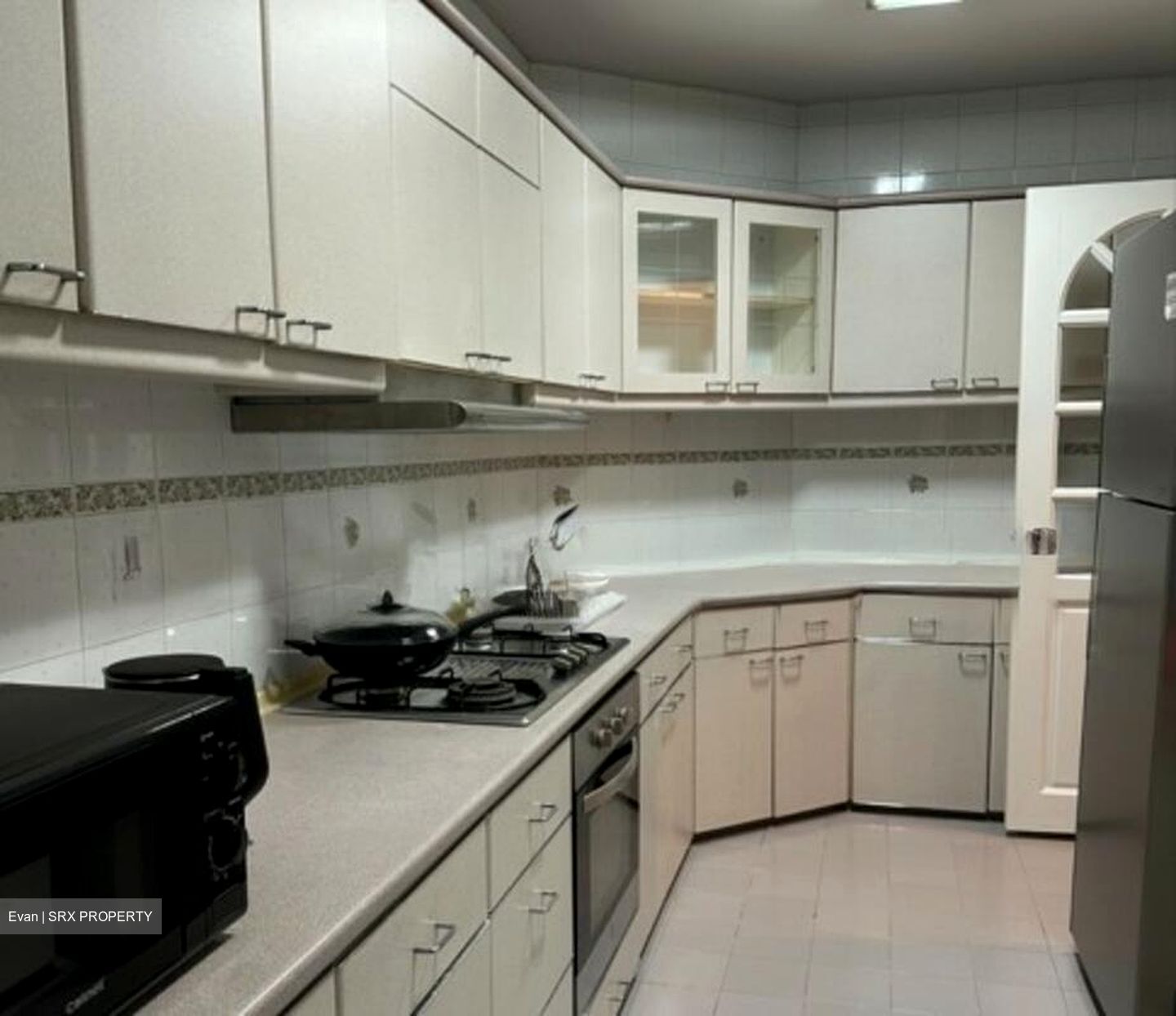 Holland Hill Park (D10), Condominium #519921061